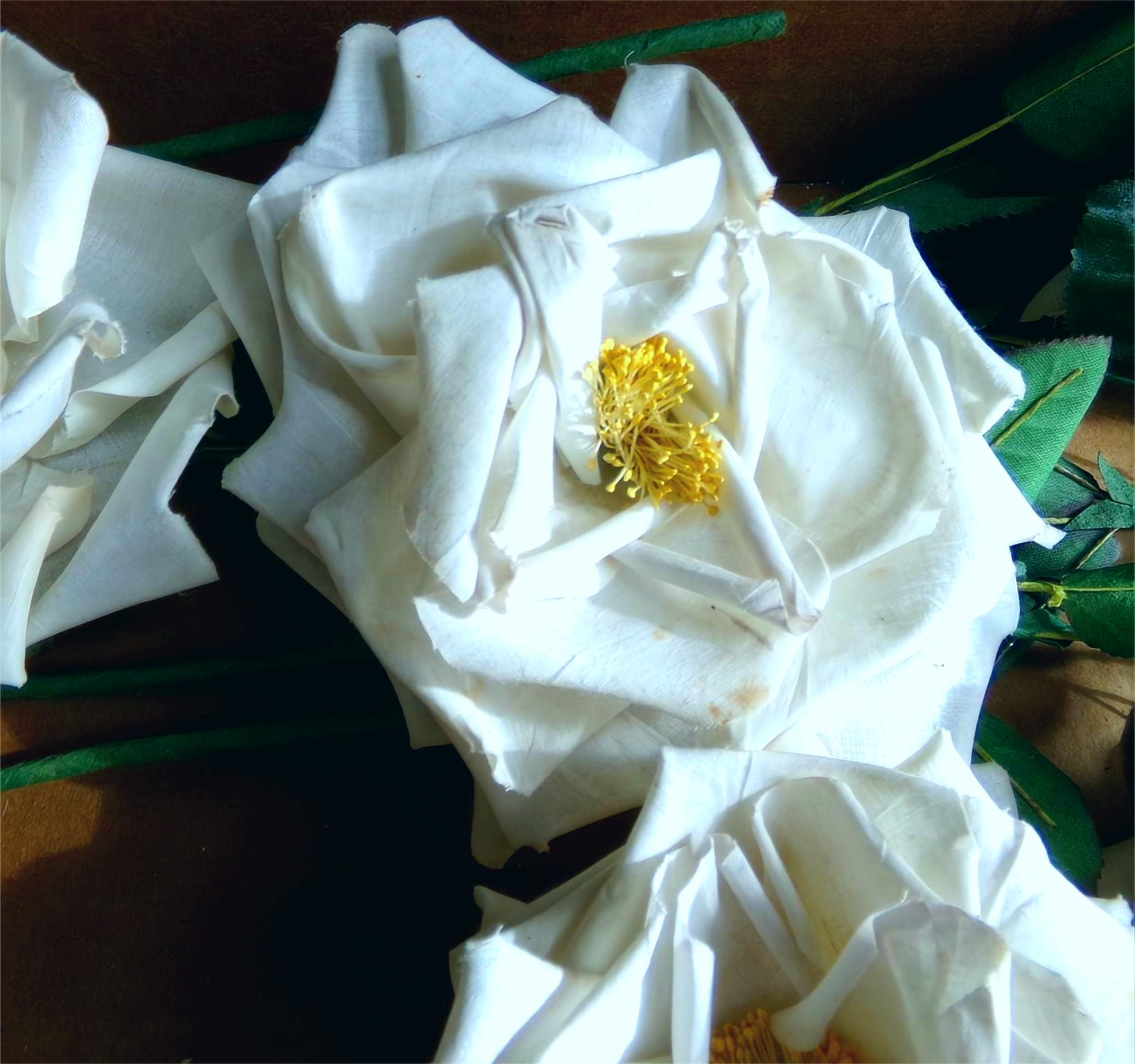 Vintage--SPECIAL STEMS-CORSAGES, FOR HATS, FOR HAIR-GERMANY NOW $14.00