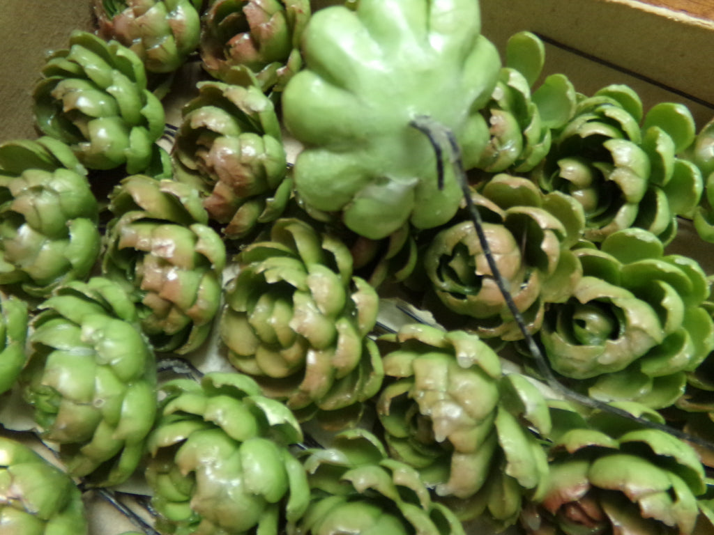 Hens & Chicks-Germany-still in original packing. Germany- on sale now for $2 each.