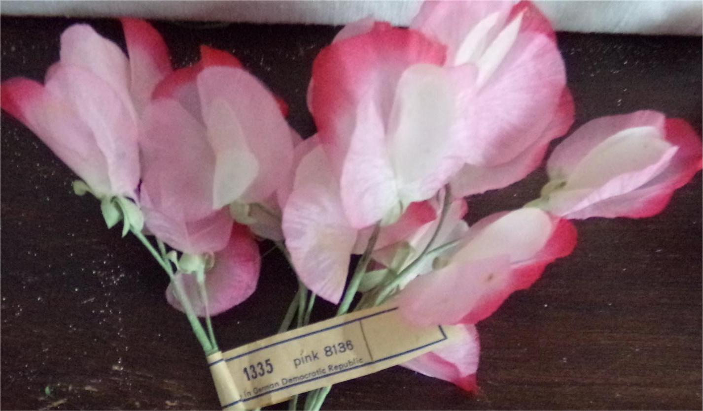 Vintage-Sweet Pea Assortment  Germany-has tags        4 stems for $7.95
