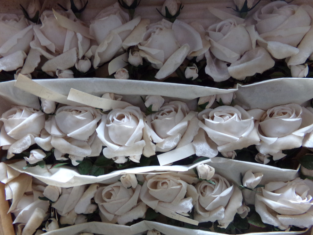 Vintage double bloom White Velvet rosebuds.  Made in GERMANY- $8.95 now $5.95each