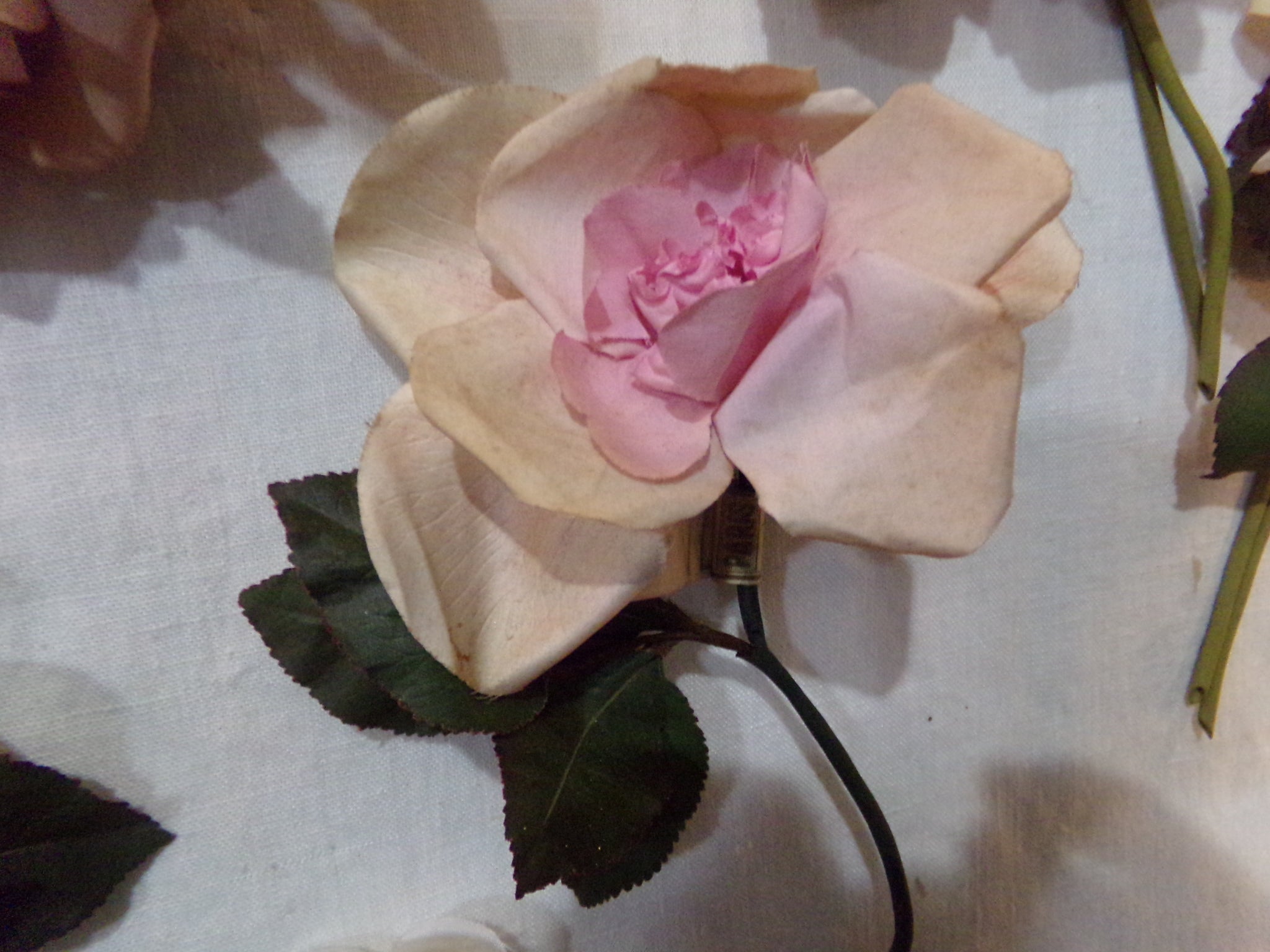 Vintage Soft and faded beautiful bloom made in Germany was @19.95 now $12.75