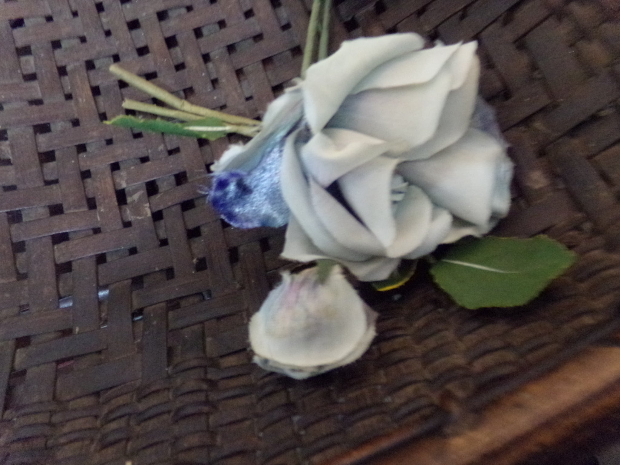 VINTAGE BLUE VELVET ROSE MADE IN FRANCE ON SALE NOW $10.95